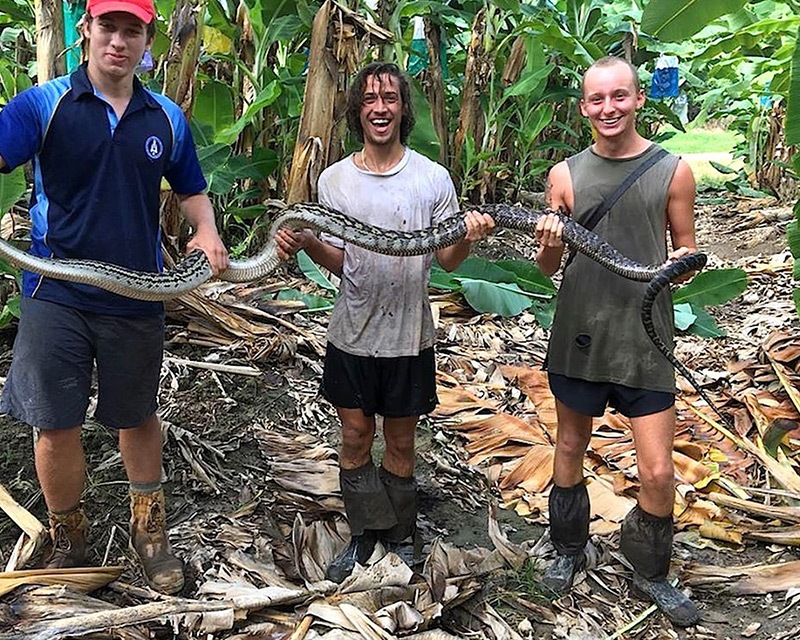 get up close and personal